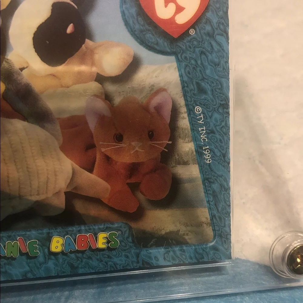 Ty Collectible Card with Teal Blue Frame and Multicolor Bears